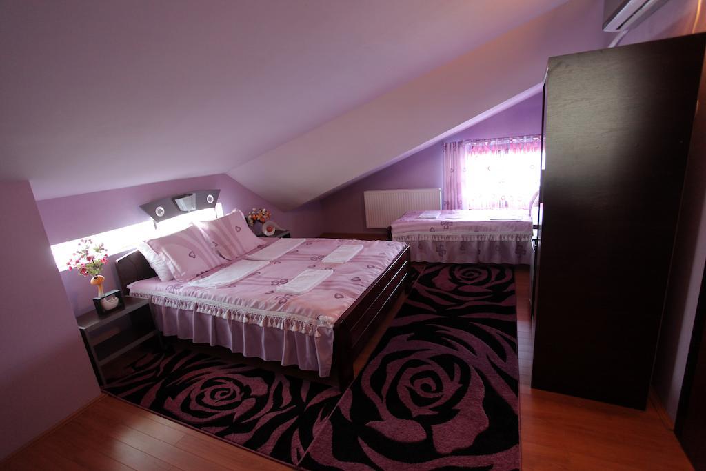 Villa Atina Stara Pazova Habitación foto